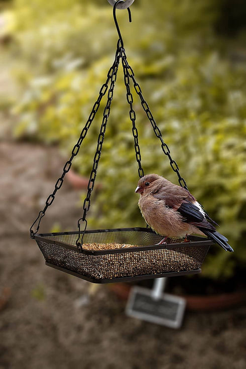 Hanging Bird Feeder with Mesh Tray, Black